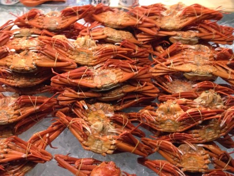 Crab on New Year's Eve? Salmon? (No. 1) New Year's Eve with the Yukino family crabs.