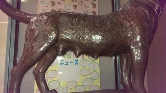 Shibuya adalah 'Hachiko', tetapi anjing setia Niigata adalah 'Tamakko'!　Episode yang mengharukan