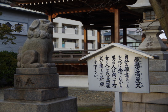 Dreht die Komainu! Bindet die Füchse! Ich habe den Minato-Inari-Schrein in Niigata City besucht.