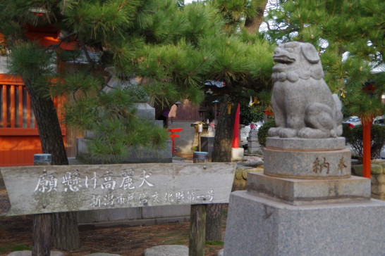 Putar komainu! Ikat rubah-rubah itu! Saya mengunjungi Kuil Minato Inari di Kota Niigata.