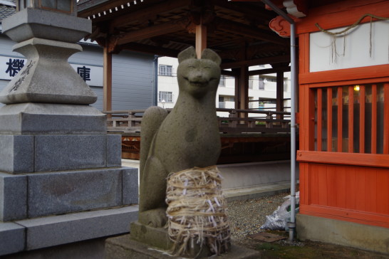 Turn the komainu! Bind the foxes! I visited Minato Inari Shrine in Niigata City.