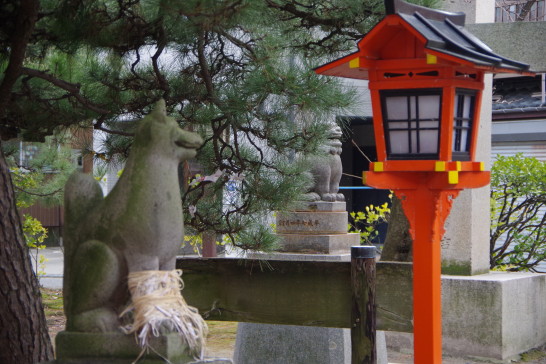 Vira o komainu! Amarrem as raposas! Visitei o Santuário Minato Inari na cidade de Niigata.