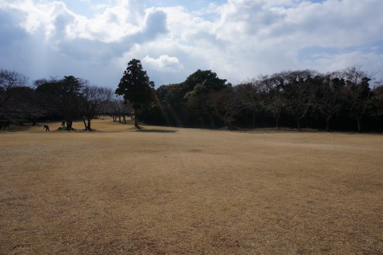 Ciudad de Ogi, Ciudad de Sado - Paseo por la ciudad de Shinashina -.