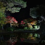 ～新潟もみじ紀行～色んな雰囲気の秋景色。お気に入りの場所を見つけよう！