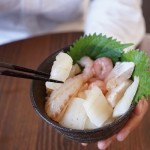 新潟の四季を贅沢に味わう！高級海鮮ばら丼「白朱喝采（はくしゅかっさい）」を堪能！【PR】